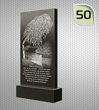 Рисунок №50